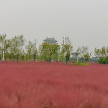 評論圖片 2