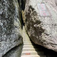 評論圖片 5