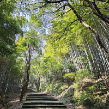 評論圖片 4