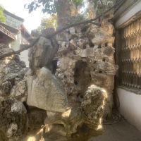 評論圖片 3