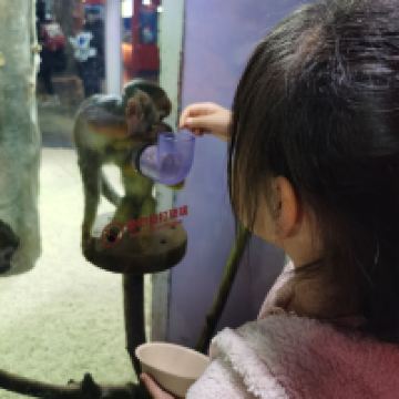 評論圖片 5
