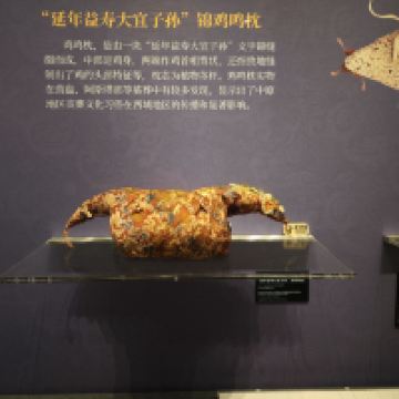 評論圖片 5