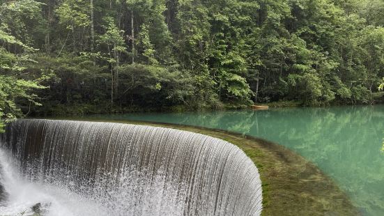 5.2去的，人有點多，但還是不錯的！雖然下雨還是影響了，但還