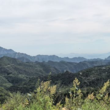評論圖片 2