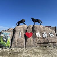 評論圖片 7