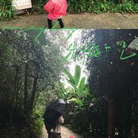 評論圖片 1