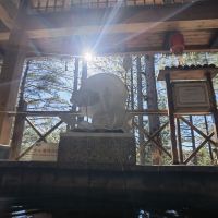 評論圖片 1