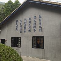 評論圖片 3