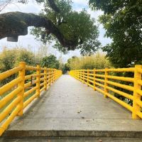 評論圖片 4