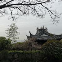 評論圖片 4