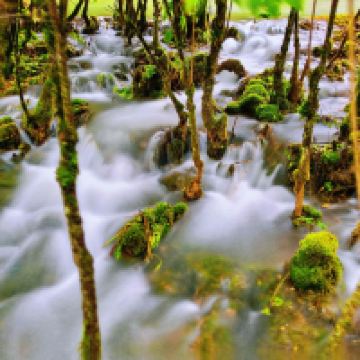 評論圖片 1