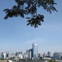 評論圖片 2