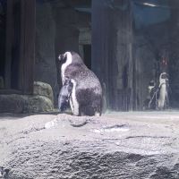評論圖片 3