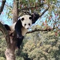 評論圖片 1