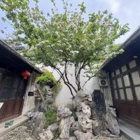 評論圖片 5