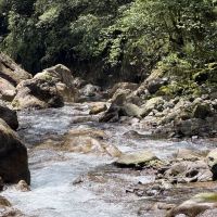 評論圖片 6