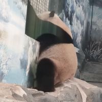 評論圖片 2
