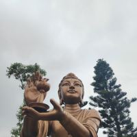 評論圖片 6