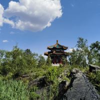 評論圖片 9
