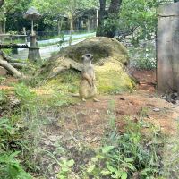 評論圖片 2