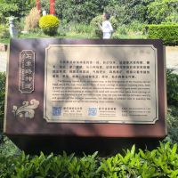 評論圖片 6