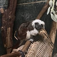 評論圖片 6