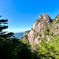 評論圖片 4