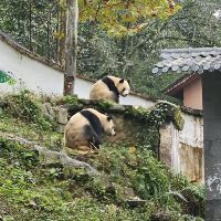 評論圖片 2