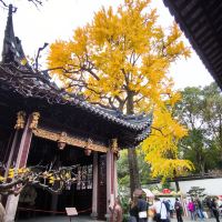 評論圖片 8