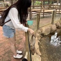 評論圖片 4