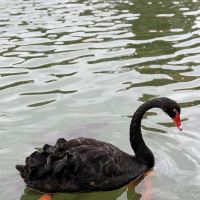評論圖片 3