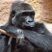 評論圖片 2