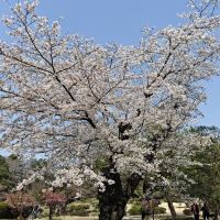 評論圖片 3