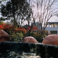 評論圖片 3