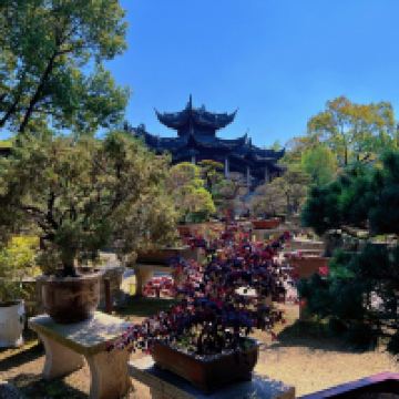 評論圖片 9