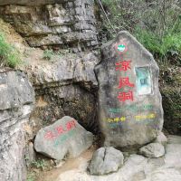 評論圖片 7