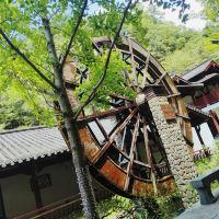 評論圖片 4