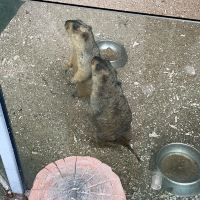 評論圖片 2