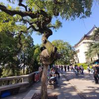 評論圖片 6