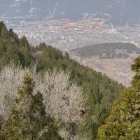 評論圖片 7