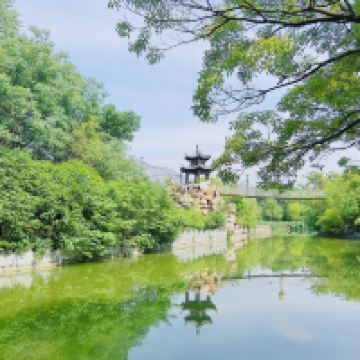 評論圖片 4