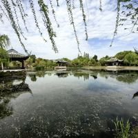 評論圖片 6