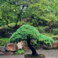 評論圖片 7