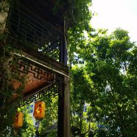 評論圖片 6