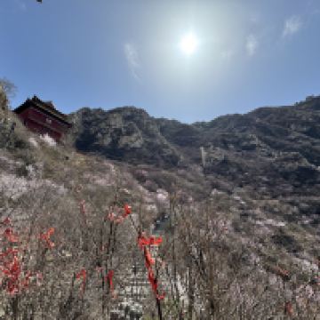 評論圖片 6