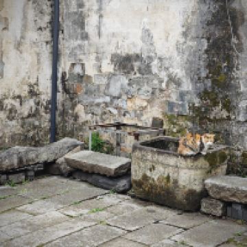 評論圖片 8
