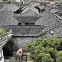 評論圖片 4