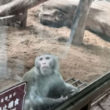評論圖片 1