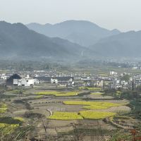 評論圖片 3