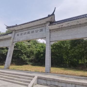 評論圖片 2